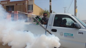 pest control